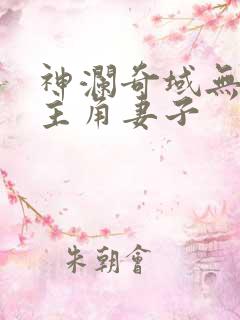 神澜奇域无双珠主角妻子