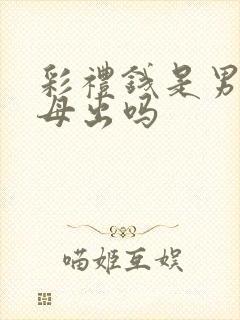 彩礼钱是男方父母出吗