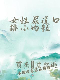 女性尿道口有一排小肉粒