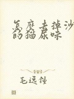 怎么去掉沙发上的猫尿味