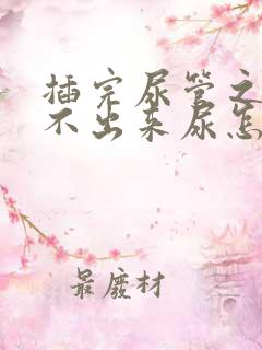 插完尿管之后尿不出来尿怎么办