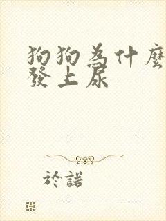 狗狗为什么在沙发上尿