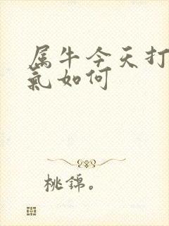 属牛今天打牌运气如何