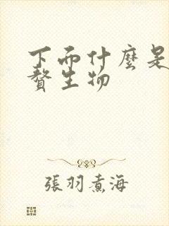 下面什么是外阴赘生物