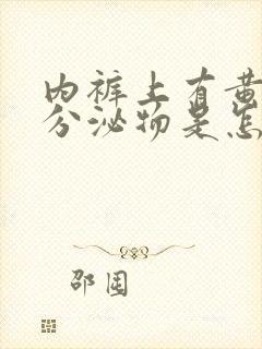 内裤上有黄色的分泌物是怎么回事