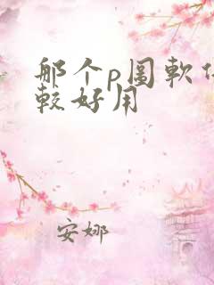 那个p图软件比较好用