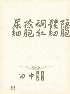 尿检酮体隐血白细胞红细胞高