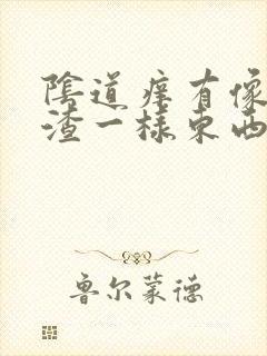 阴道痒有像豆腐渣一样东西