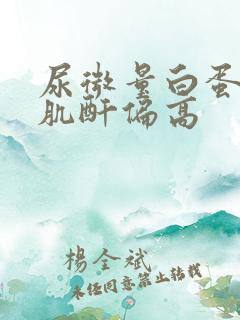 尿微量白蛋白尿肌酐偏高