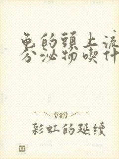 龟的头上流黄色分泌物吃什么药