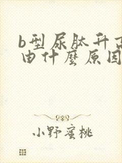 b型尿肽升高是由什么原因引起的