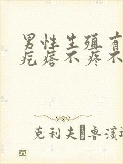 男性生殖有小肉疙瘩不疼不痒