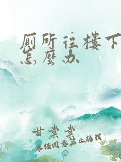 厕所往楼下渗水怎么办