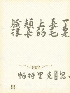 脸颊上长了一根很长的毛是怎么回事