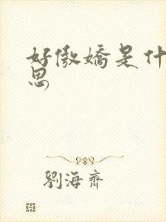 好傲娇是什么意思