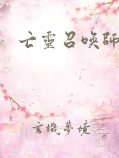 亡灵召唤师小说