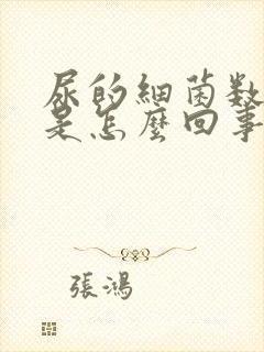 尿的细菌数量高是怎么回事