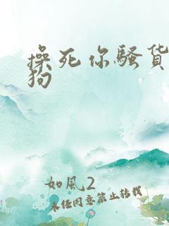 操死你骚货骚母狗