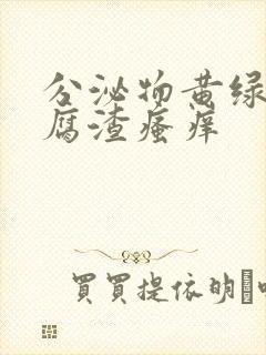 分泌物黄绿色豆腐渣瘙痒