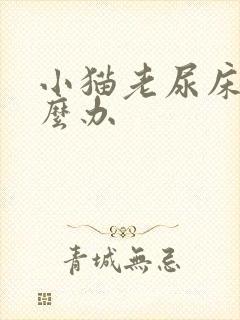 小猫老尿床上怎么办