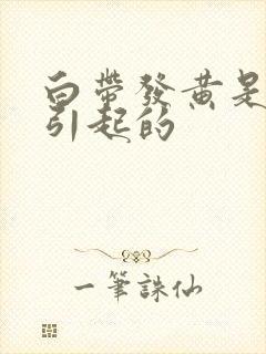 白带发黄是怎么引起的