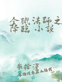 全职法师之欲魔降临 小说