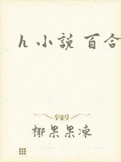 h 小说 百合