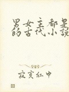 男女主都是穿越的古代小说