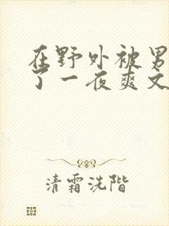 在野外被男人躁了一夜爽文