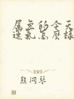 属兔的今天打牌运气怎么样