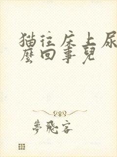 猫往床上尿是怎么回事儿