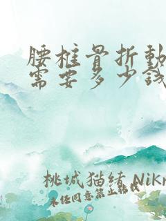 腰椎骨折动手术需要多少钱