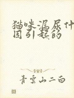 猫咪漏尿什么原因引起的