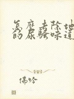 怎么去除地板上的尿骚味道