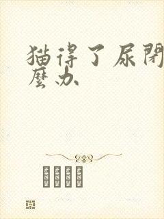 猫得了尿闭症怎么办