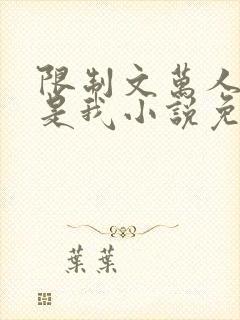 限制文万人迷竟是我小说免费阅读