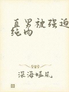 直男被强迫高h纯肉