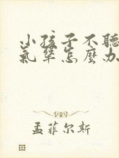 小孩子不听话脾气犟怎么办