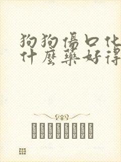 狗狗伤口化脓用什么药好得快