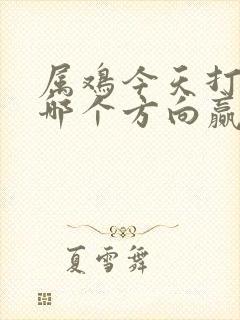 属鸡今天打牌坐哪个方向赢