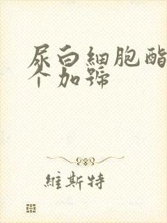 尿白细胞酯酶1个加号