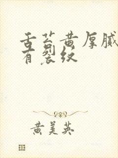 舌苔黄厚腻中间有裂纹