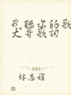 我听你的歌我的大哥歌词