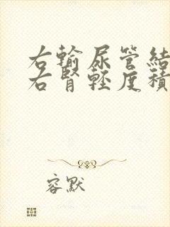 右输尿管结石伴右肾轻度积水严重吗