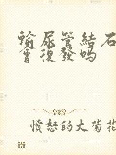 输尿管结石碎石会复发吗