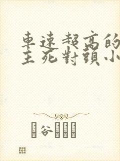 车速超高的双男主死对头小说