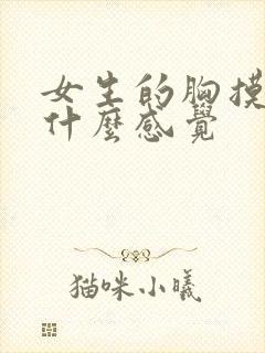 女生的胸摸起来什么感觉