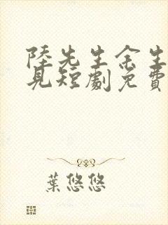 陆先生余生不再见短剧免费观看大结局