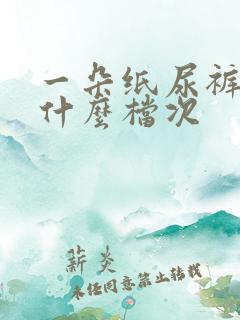 一朵纸尿裤属于什么档次