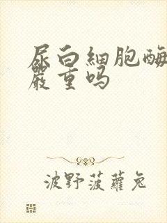 尿白细胞酶2十严重吗